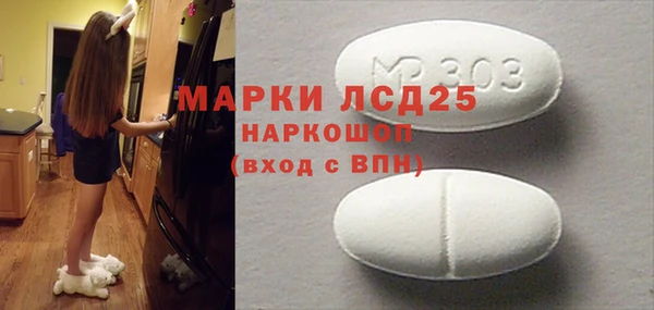 гидра Магас