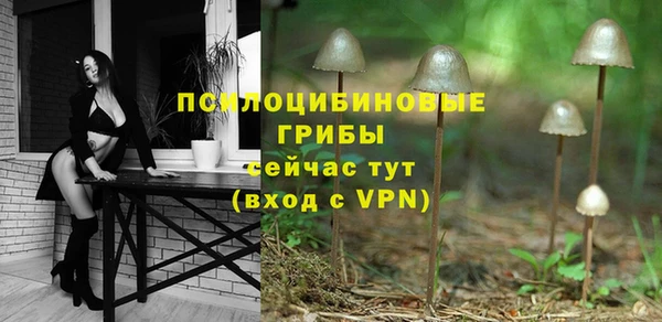 прущая мука Магадан
