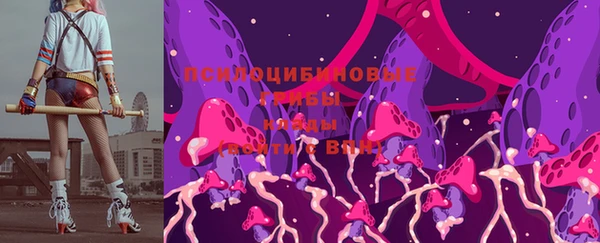 сатива Лихославль