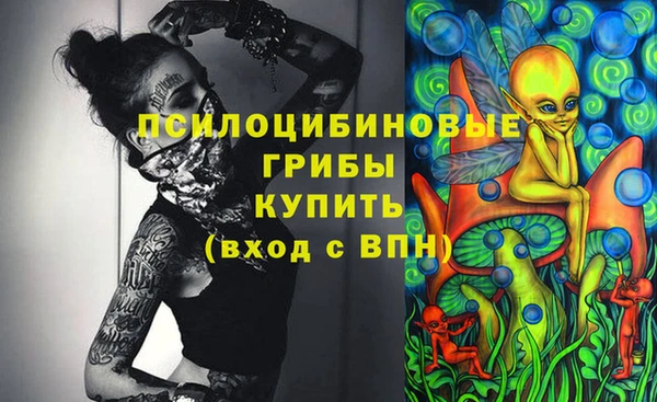 не бодяженный Ладушкин