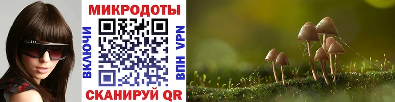 Купить  Когалым  Галлюциногенные грибы Cubensis 